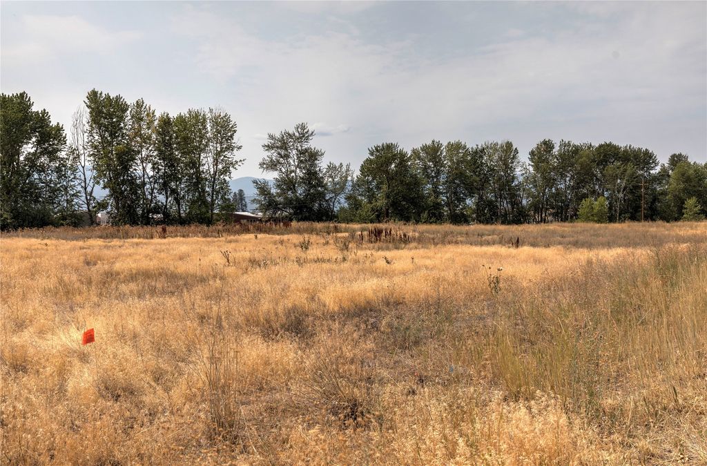 401 Expressway, Missoula, MT 59808 photo 7