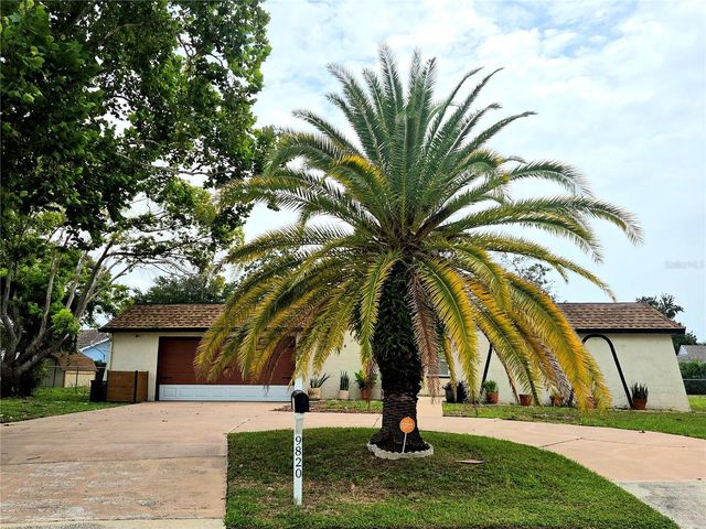 9820 POCONO STREET, Port Richey, FL 34668