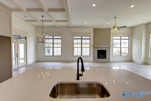 12416 Narayan Street, Madison, AL 35756