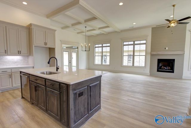 12416 Narayan Street, Madison, AL 35756