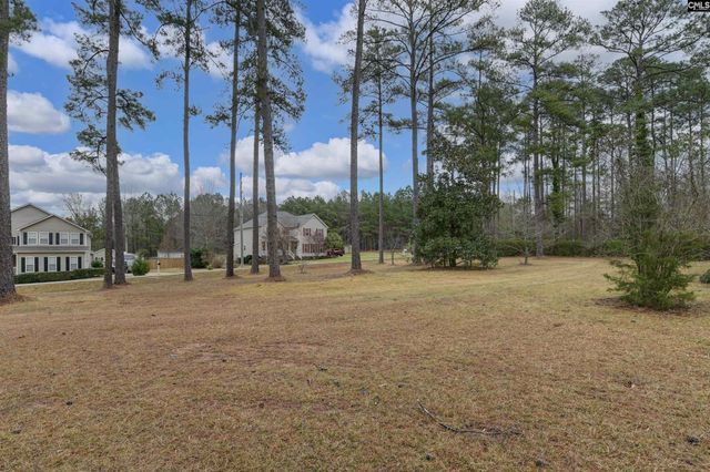 1125 Indian Fork Road, Chapin, SC 29036