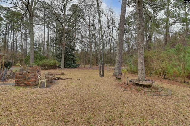 1125 Indian Fork Road, Chapin, SC 29036