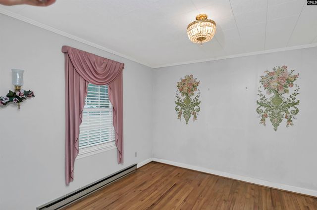 1125 Indian Fork Road, Chapin, SC 29036