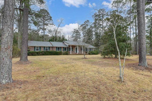 1125 Indian Fork Road, Chapin, SC 29036