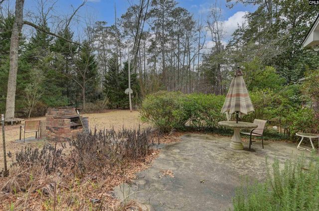 1125 Indian Fork Road, Chapin, SC 29036