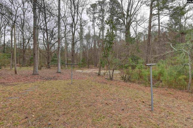 1125 Indian Fork Road, Chapin, SC 29036