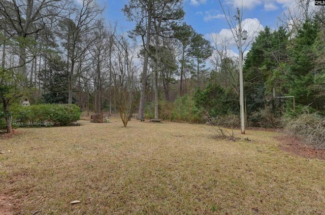 1125 Indian Fork Road, Chapin, SC 29036