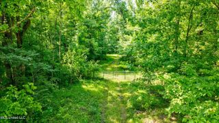 Gaines Road, Hernando, MS 38632