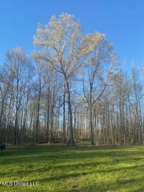 Gaines Road, Hernando, MS 38632 — photo 2