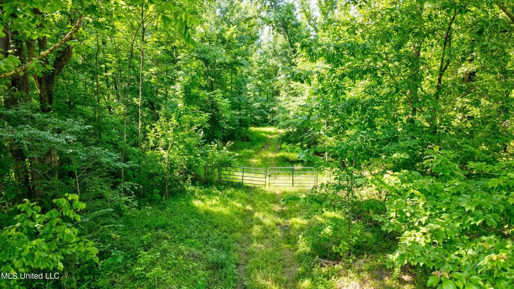 Gaines Road, Hernando, MS 38632 — photo 3