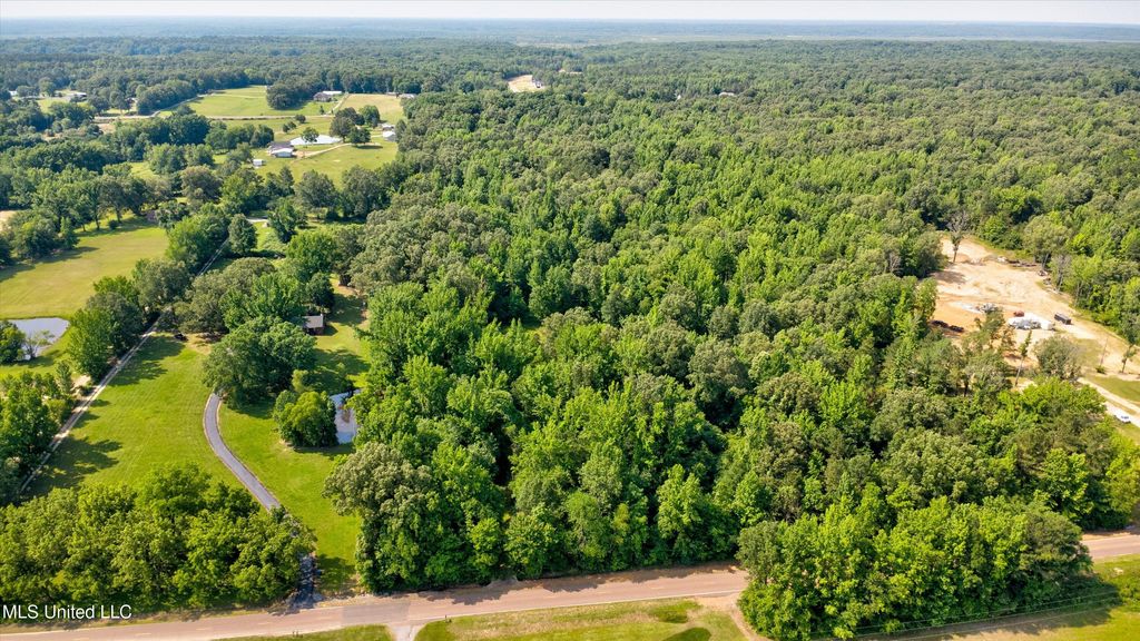 Gaines Road, Hernando, MS 38632 — photo 4