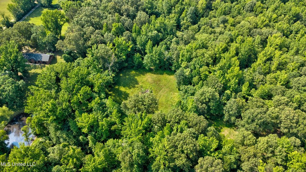 Gaines Road, Hernando, MS 38632 — photo 5