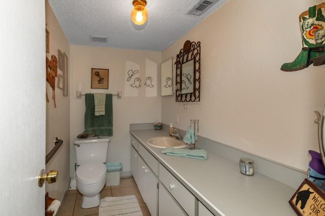 24948 WALKABOUT RANCH ROAD, Sorrento, FL 32776