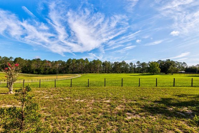 24948 WALKABOUT RANCH ROAD, Sorrento, FL 32776