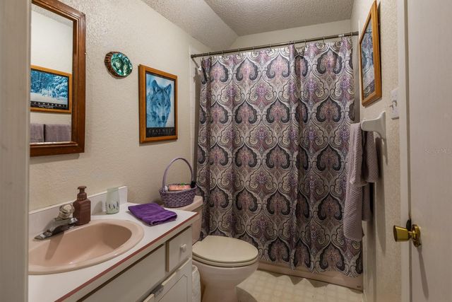 24948 WALKABOUT RANCH ROAD, Sorrento, FL 32776
