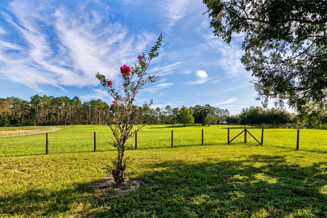 24948 WALKABOUT RANCH ROAD, Sorrento, FL 32776