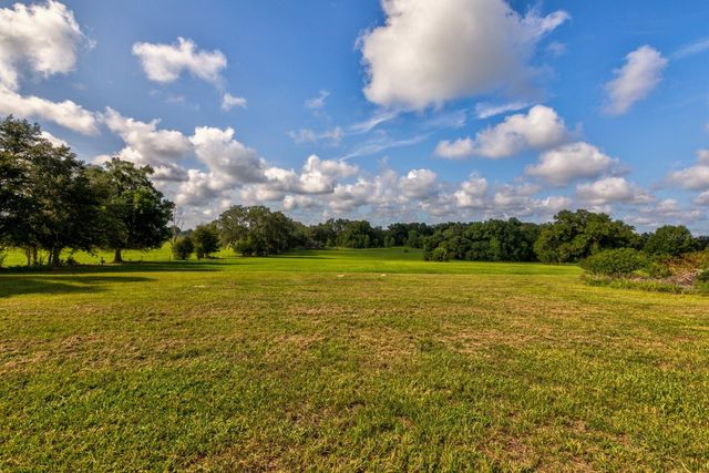 24948 WALKABOUT RANCH ROAD, Sorrento, FL 32776