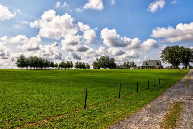 24948 WALKABOUT RANCH ROAD, Sorrento, FL 32776