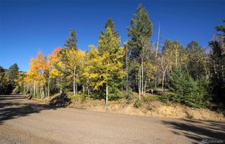 11637 Leavenworth Drive, Conifer, CO 80433