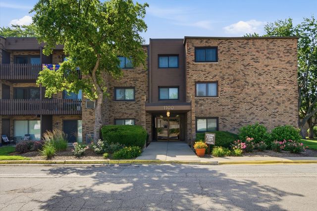 1100 E Randville Drive 203, Palatine, IL 60074