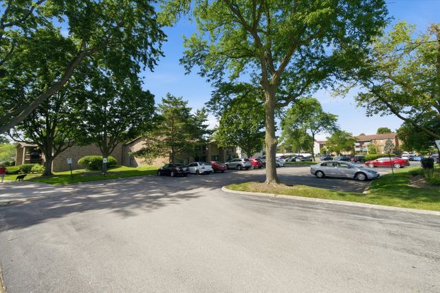 1100 E Randville Drive 203, Palatine, IL 60074