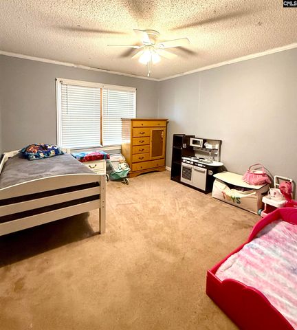 4468 Cannon Bridge Road, Cope, SC 29038