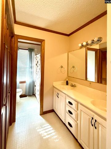 4468 Cannon Bridge Road, Cope, SC 29038