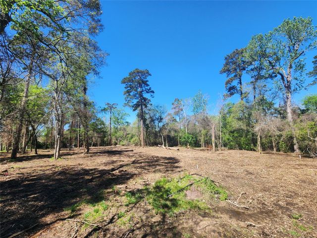 25810 Lakewater Drive, Huffman, TX 77336