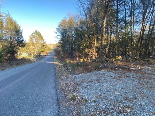 Friedman Road, Harris, NY 12742