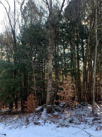 Friedman Road, Harris, NY 12742