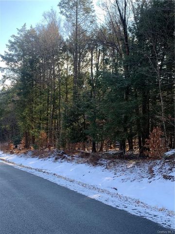 Friedman Road, Harris, NY 12742