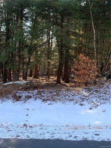 Friedman Road, Harris, NY 12742