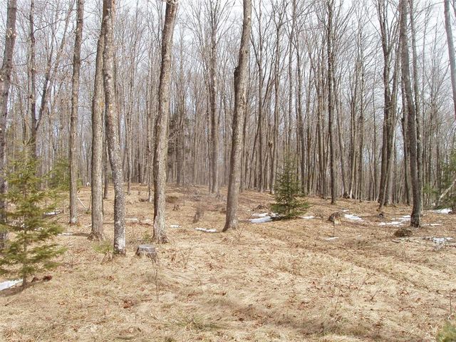 80508 Schwilk Road, Glidden, WI 54527