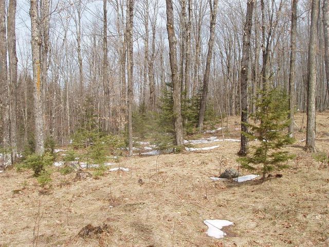 80508 Schwilk Road, Glidden, WI 54527