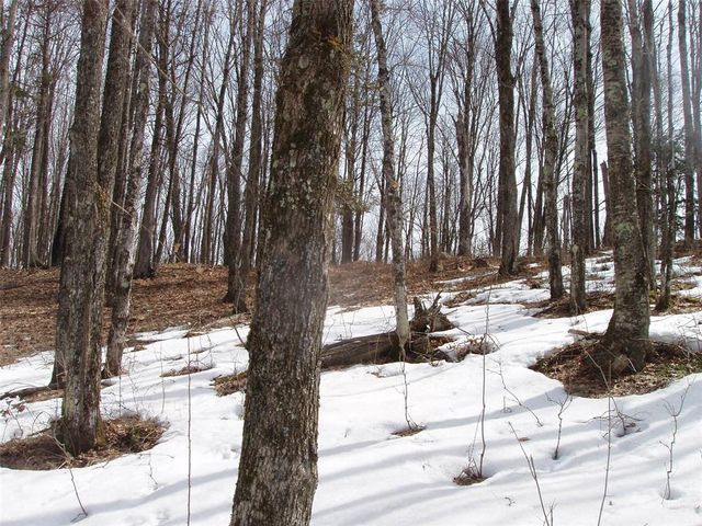 80508 Schwilk Road, Glidden, WI 54527