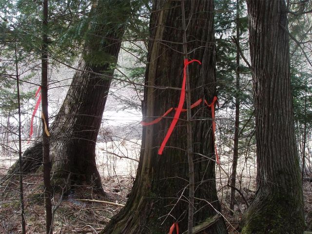 80508 Schwilk Road, Glidden, WI 54527