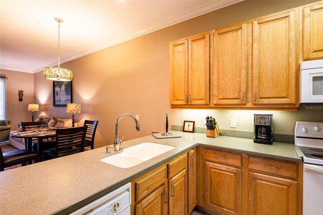 6801 DALI AVENUE 104, Land O Lakes, FL 34637