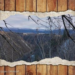 82-215 ALASKA STATE LAND SURVEY, Homer, AK 99603