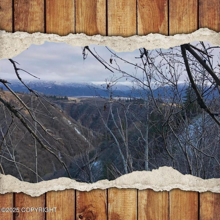 82-215 ALASKA STATE LAND SURVEY, Homer, AK 99603