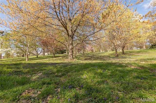 6300 Northwood Avenue 3W, Clayton, MO 63105