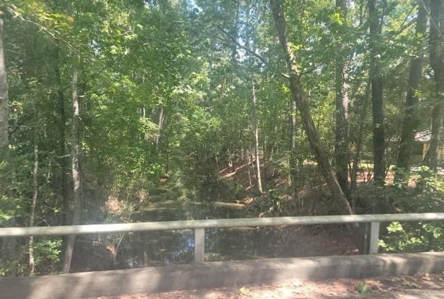 1041 Shore Shadow Drive, Houston, TX 77336