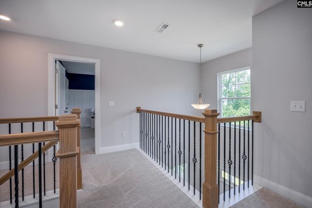 163 Highgate Lane, Chapin, SC 29036
