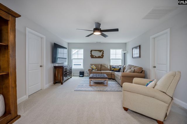 163 Highgate Lane, Chapin, SC 29036