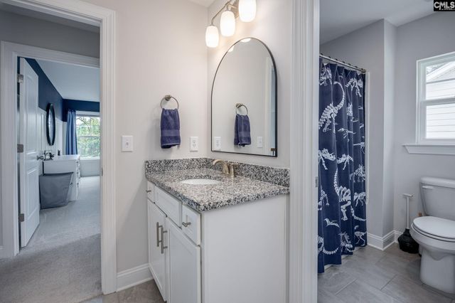 163 Highgate Lane, Chapin, SC 29036