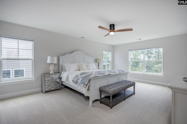 163 Highgate Lane, Chapin, SC 29036
