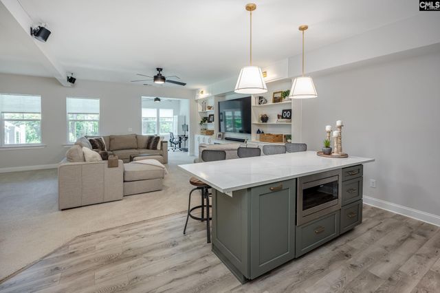 163 Highgate Lane, Chapin, SC 29036