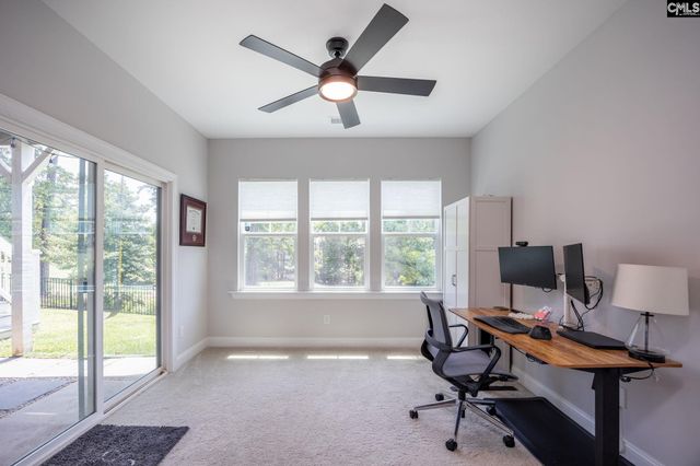 163 Highgate Lane, Chapin, SC 29036