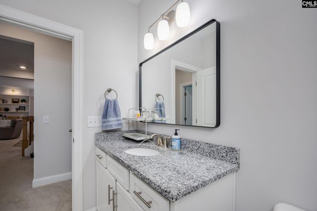 163 Highgate Lane, Chapin, SC 29036