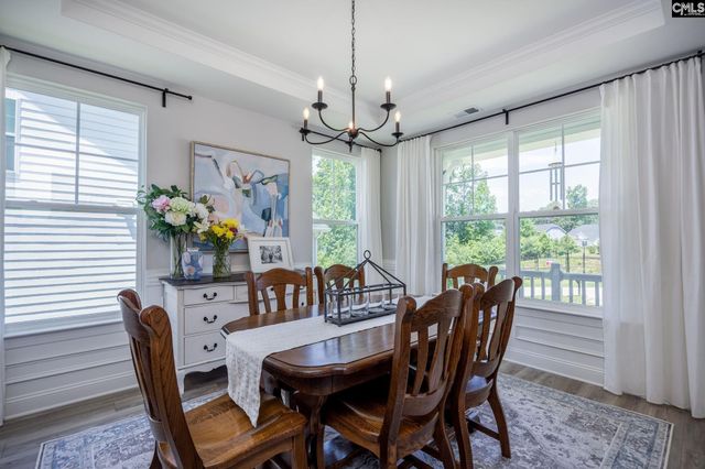 163 Highgate Lane, Chapin, SC 29036