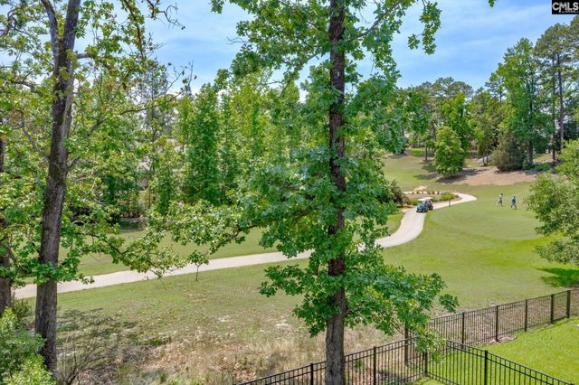 163 Highgate Lane, Chapin, SC 29036